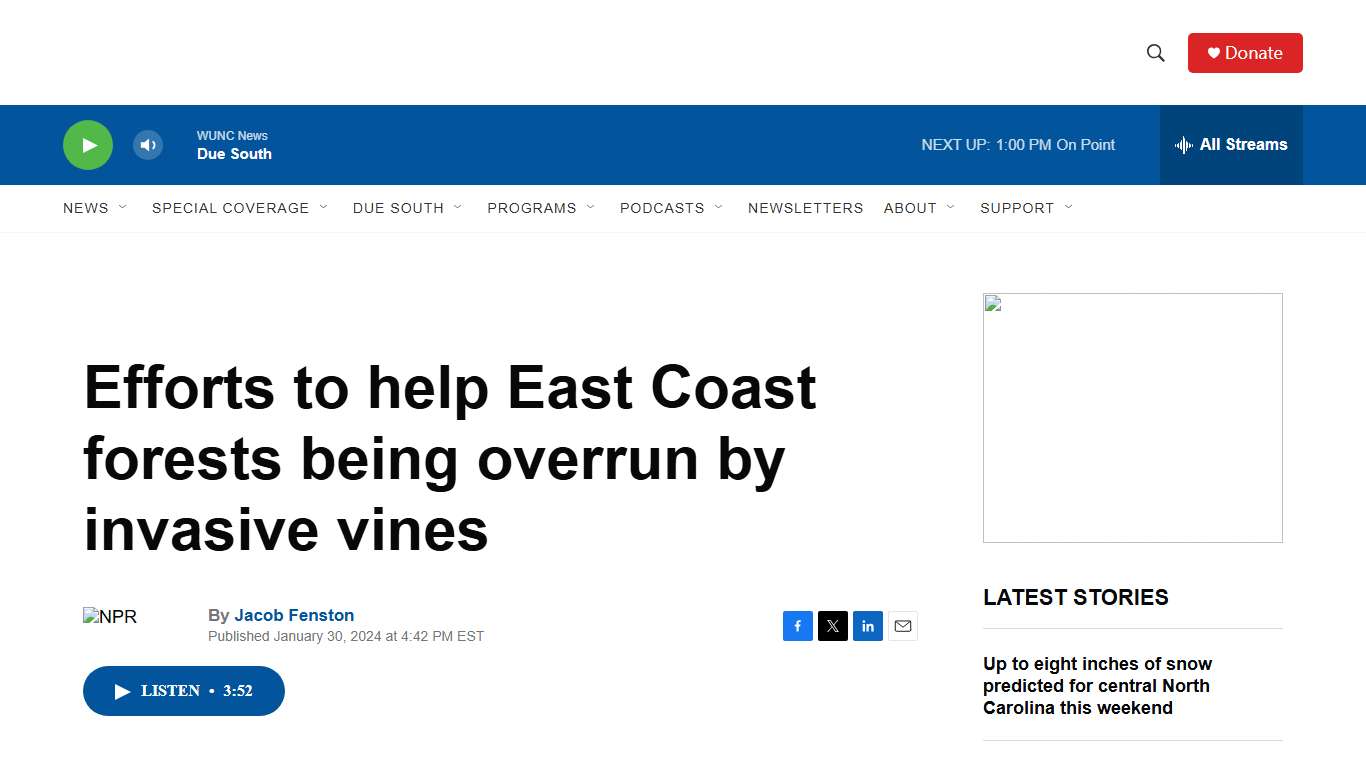 Efforts to help East Coast forests being overrun by invasive vines WUNC News