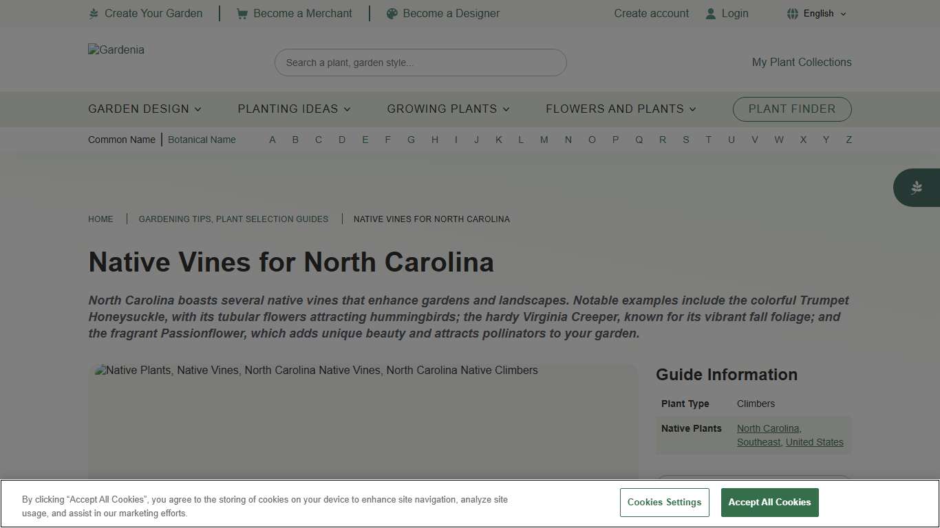 Native Vines for North Carolina