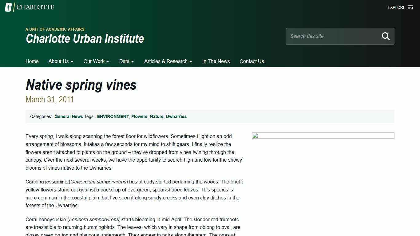 Native spring vines - Charlotte Urban Institute